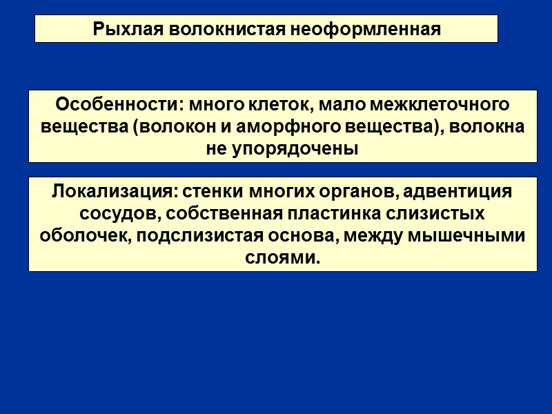 Рыхлая волокнистая неоформленная Особенности: много клеток, мало межклеточного вещества (волокон и аморфного вещества), волокна